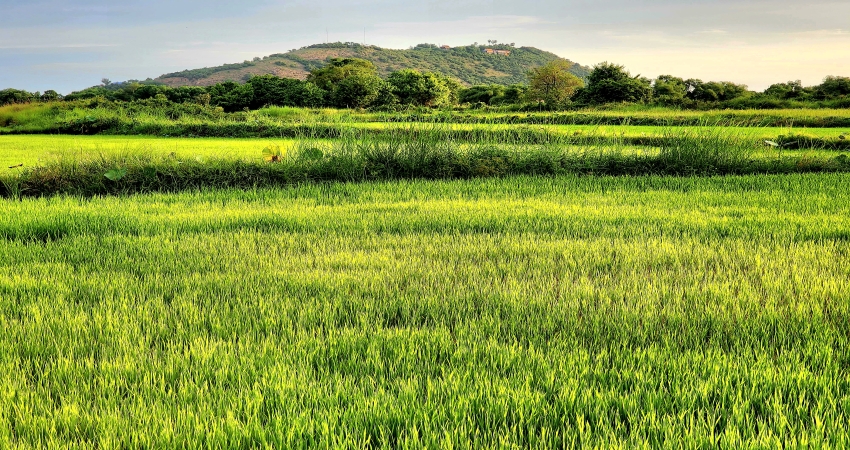 Visit Country Organic Farm by Bike