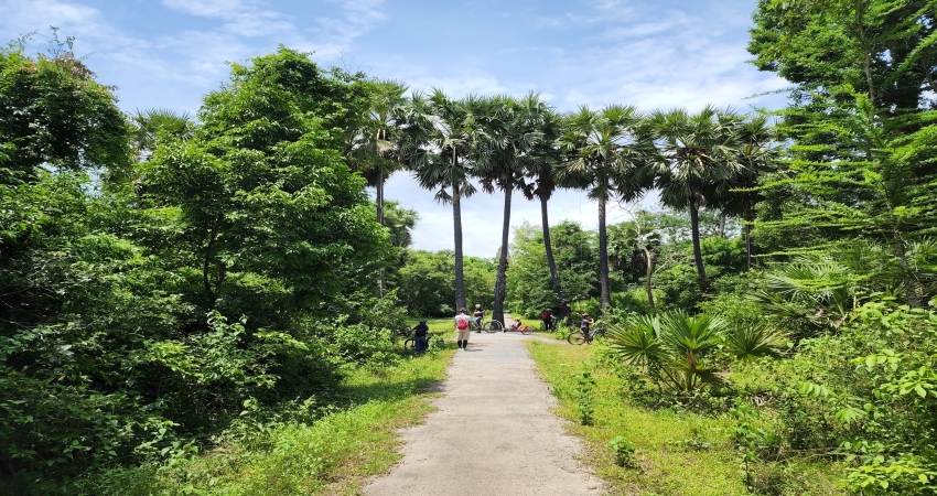 Visit Country Organic Farm by Bike