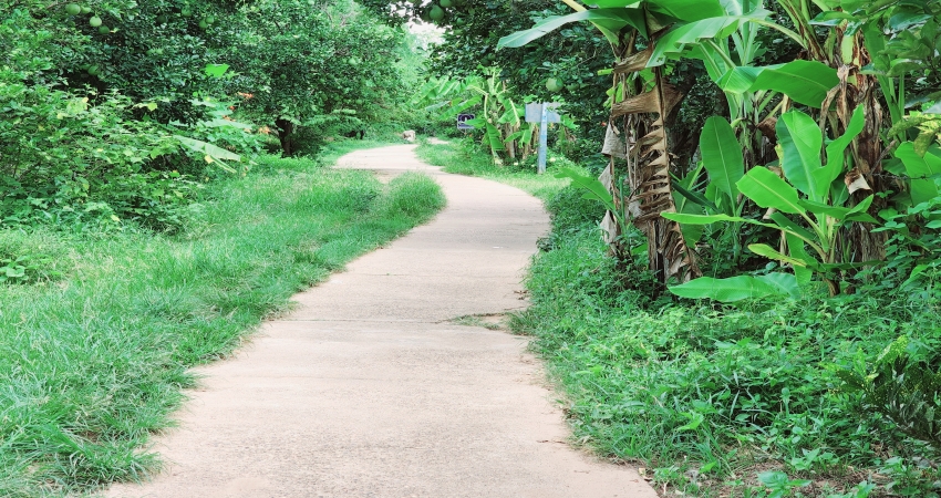 Visit Country Organic Farm by Bike