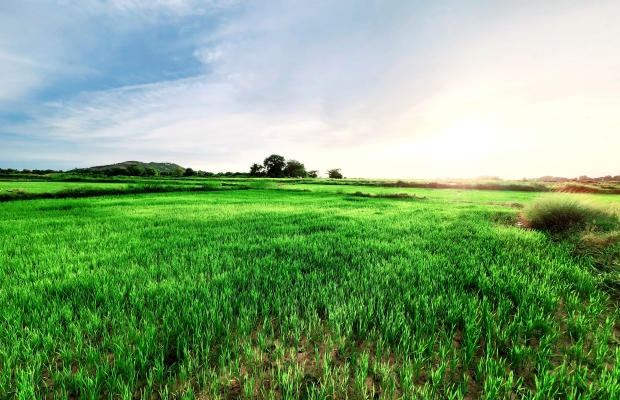 Visit Country Organic Farm by Bike