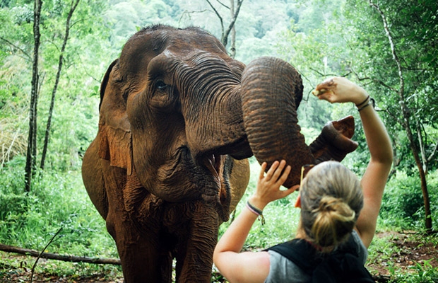 Cambodia Explorer