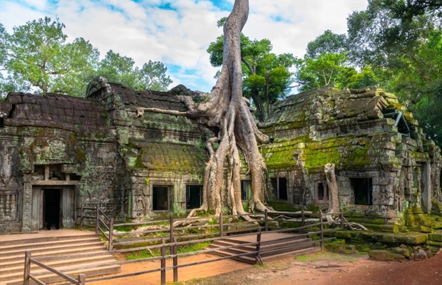 Ta Prohm Temple